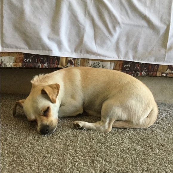 Meet your Posher, Isaiah - Picture 9 of 12